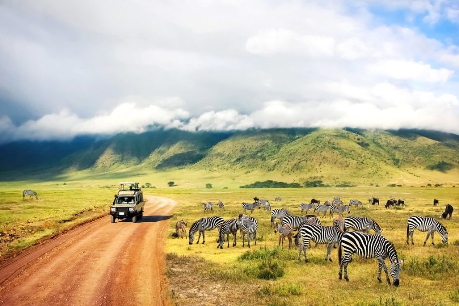 how to plan Tanzania safari