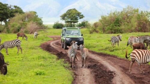 Ngorongoro Crater Day Trip