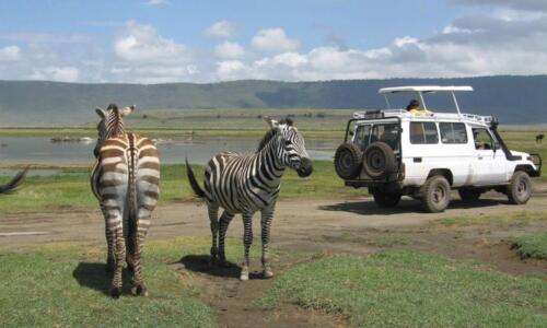 Ngorongoro Crater Safari