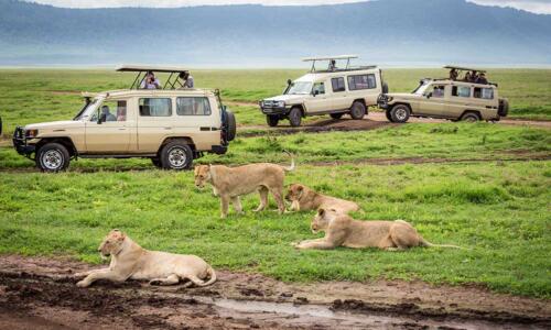 Ngorongoro Day Trip